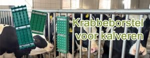 Krabbeborstel voor kalveren